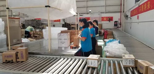 拥有航线超300条,随时可打 飞的 到全球,花都将成为离世界最近的地方