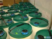 供应辣椒油进出口货运代理_商务服务_世界工厂网中国产品信息库