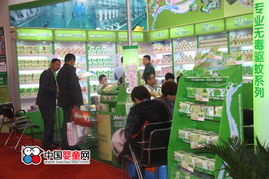 御品坊借力京正婴童展打造民族品牌