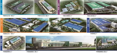 绿色的食品选中绿丨中绿荣获2018年度泉州食品行业 社会责任奖