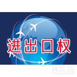 广州进出口贸易的发展现状与前景分析