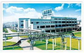 上海添然食品添加剂进出口业务概览