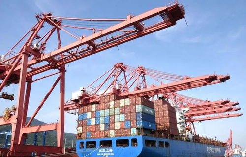 明日起实施新规 关乎工资与进出口