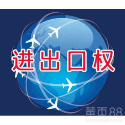 上海进出口贸易 经济引擎与全球枢纽